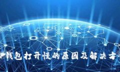 TP钱包打开慢的原因及解决方案