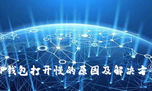 TP钱包打开慢的原因及解决方案