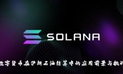 数字货币在伊朗石油结算中的应用前景与挑战