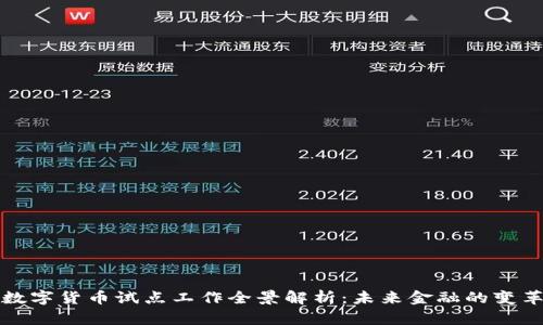中国数字货币试点工作全景解析：未来金融的变革之路