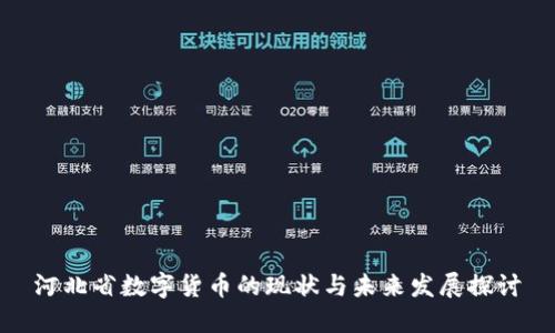 河北省数字货币的现状与未来发展探讨
