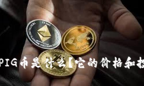 TP钱包中的PIG币是什么？它的价格和投资价值分析