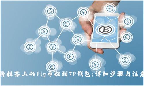 如何将抹茶上的Pig币提到TP钱包：详细步骤与注意事项