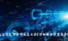 TP钱包忘记支付密码该怎么办？详细解决方案与步