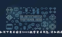 如何下载并安装BACS数字货币钱包：详细指南