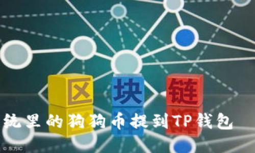 如何将正统里的狗狗币提到TP钱包｜新手指南