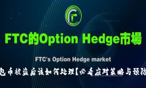 tp钱包币被盗后该如何处理？必看应对策略与预防措施
