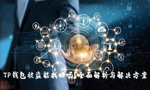 TP钱包被盗能找回吗？全面解析与解决方案