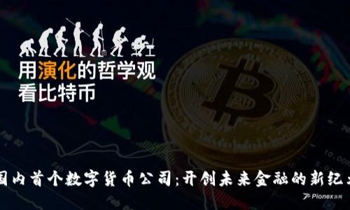 国内首个数字货币公司：开创未来金融的新纪元