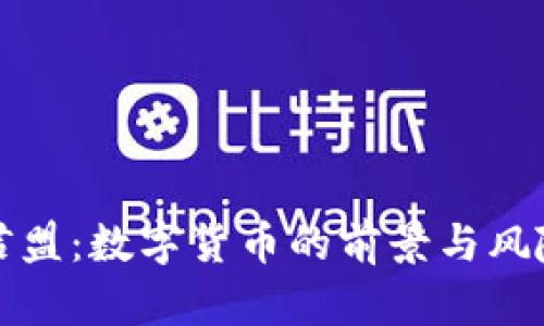 泰康君盟：数字货币的前景与风险分析
