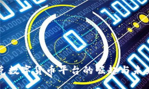 伊拉克数字货币平台的崛起与未来展望