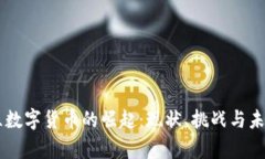 乌克兰数字货币的崛起：现状、挑战与未来展望