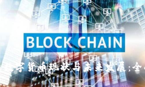 : 南非数字货币现状与未来发展：全面解析