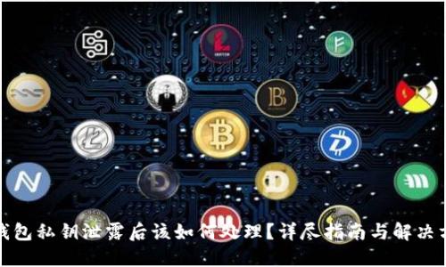 TP钱包私钥泄露后该如何处理？详尽指南与解决方案