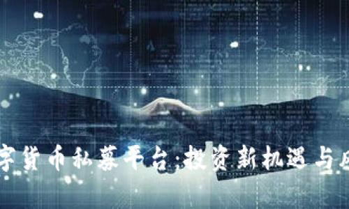 中国数字货币私募平台：投资新机遇与风险分析
