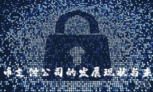 数字货币支付公司的发展现状与未来展望