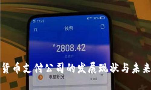 数字货币支付公司的发展现状与未来展望