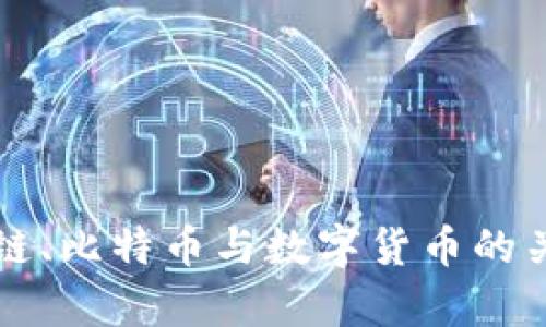 深入解析区块链、比特币与数字货币的关系与未来发展
