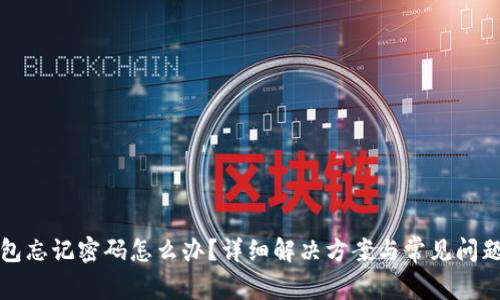TP钱包忘记密码怎么办？详细解决方案与常见问题解析