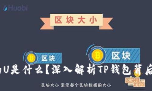 :TP钱包中的U是什么？深入解析TP钱包背后的暗藏玄机