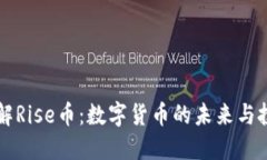 深入了解Rise币：数字货币的未来与投资潜力
