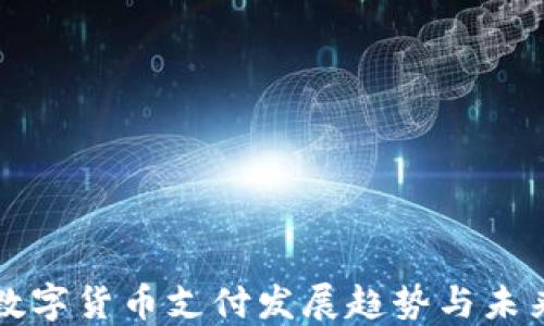 
全球数字货币支付发展趋势与未来展望