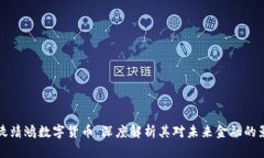司徒靖鸿数字货币：深度解析其对未来金融的影