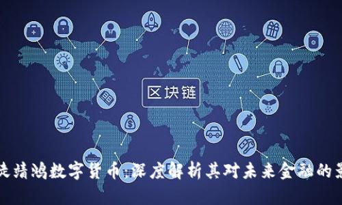 司徒靖鸿数字货币：深度解析其对未来金融的影响