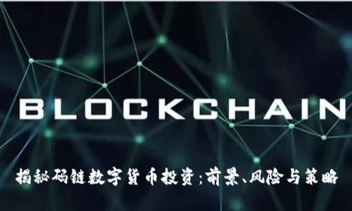 揭秘码链数字货币投资：前景、风险与策略