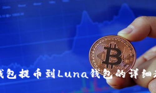 TP钱包提币到Luna钱包的详细教程