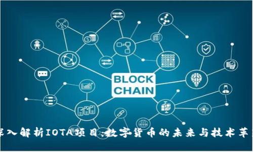 深入解析IOTA项目：数字货币的未来与技术革新