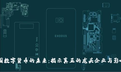 中国数字货币的未来：揭示真正的龙头企业与影响力
