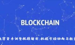 最新数字货币调整视频解析：把握市场动向与投