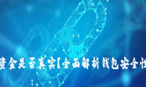 TP钱包上的资金是否真实？全面解析钱包安全性与资金保障