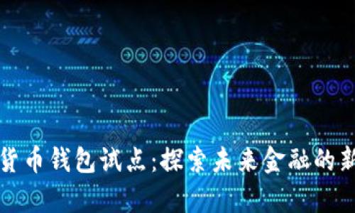 数字货币钱包试点：探索未来金融的新篇章