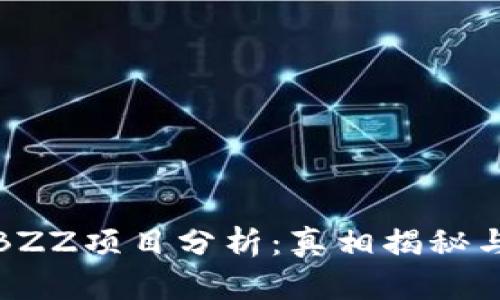 TP钱包的BZZ项目分析：真相揭秘与投资策略