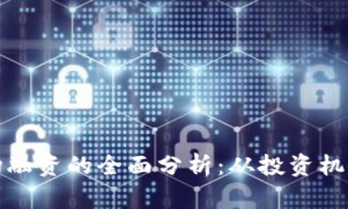 数字货币市场融资的全面分析：从投资机会到风险管理