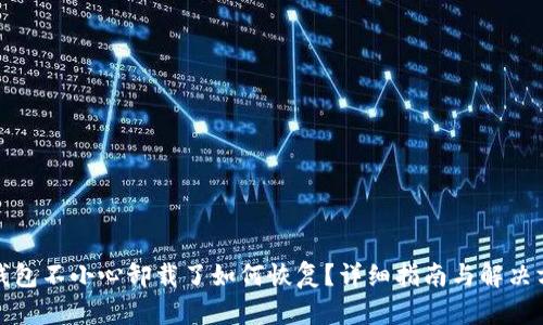 TP钱包不小心卸载了如何恢复？详细指南与解决方案