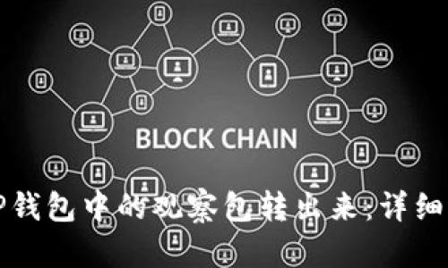 如何将TP钱包中的观察包转出来：详细步骤解析