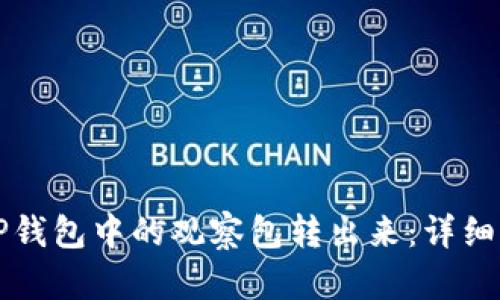 如何将TP钱包中的观察包转出来：详细步骤解析