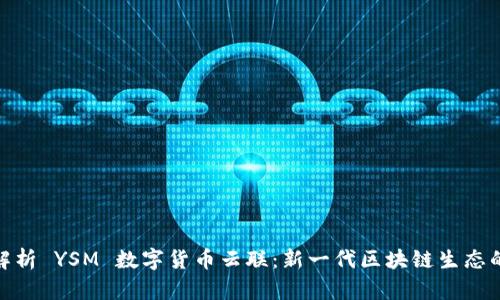 深度解析 YSM 数字货币云联：新一代区块链生态的崛起