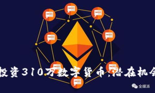 如何明智地投资310万数字货币：潜在机会与风险分析