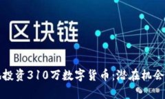 如何明智地投资310万数字货币：潜在机会与风险