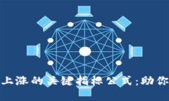 揭示数字货币上涨的关键指标公式：助你抓住投