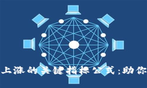 揭示数字货币上涨的关键指标公式：助你抓住投资机会
