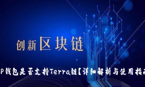 TP钱包是否支持Terra链？详细解析与使用指南