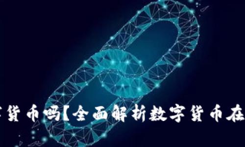 埃及可以购买数字货币吗？全面解析数字货币在埃及的现状与前景