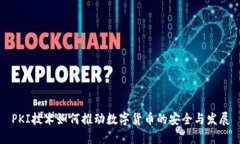 PKI技术如何推动数字货币的安全与发展
