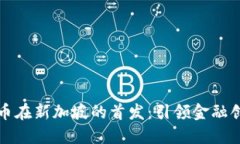 罗曼数字货币在新加坡的首发：引领金融创新的