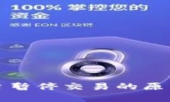 数字货币交易平台暂停交易的原因及应对策略分